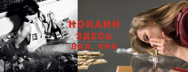 шишки Михайловск