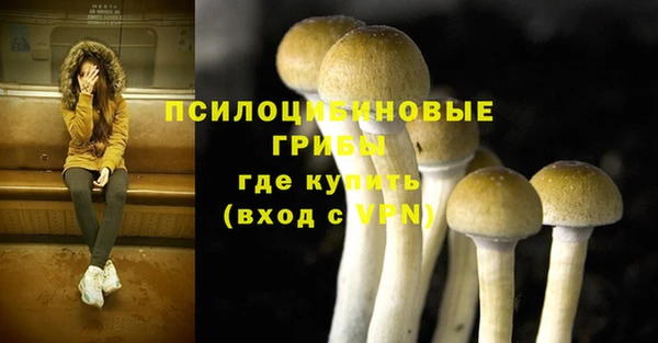 шишки Михайловск