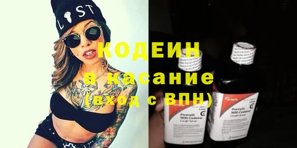 шишки Михайловск