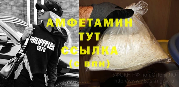 шишки Михайловск
