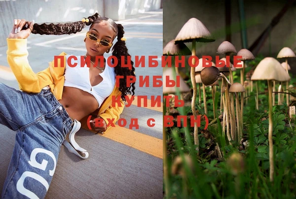 альфа пвп Михайлов