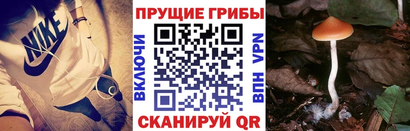 Галлюциногенные грибы Magic Shrooms  Клин 